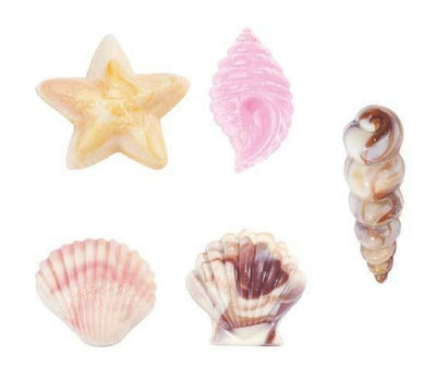 Under the sea chocolate moulds Collection Image