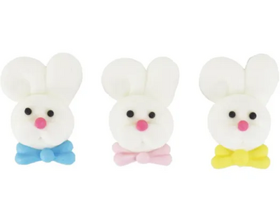 close up of bunny faces