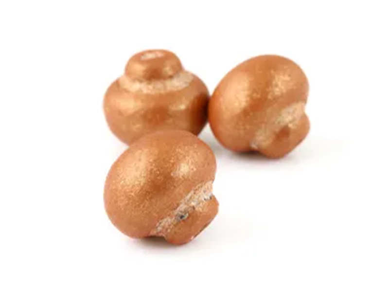 Chocolate mushrooms pack of 5 Gold Bronze lustre Caramel