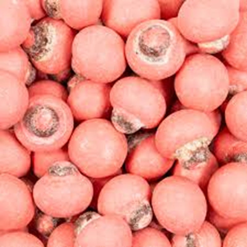 Chocolate mushrooms pack of 5 Pink Strawberry