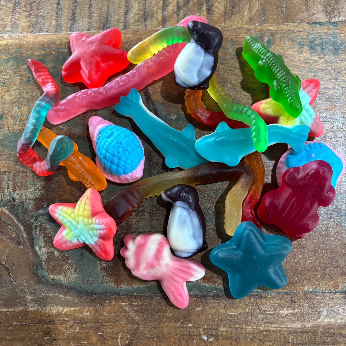 Sea Creatures Ocean friends Gummy Candy lollies