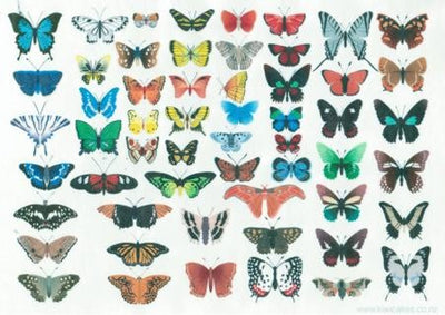 Wafer paper sheet Butterfly collection