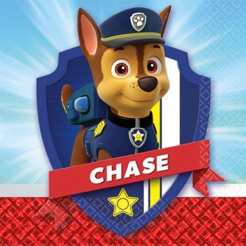Paw Patrol party beverage napkins (16)