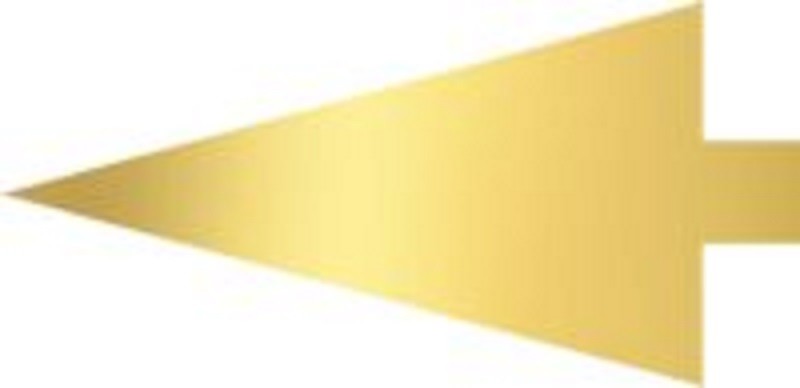 Cake cards single serve Wedge Pack of 100 13.5x7.5cm Gold