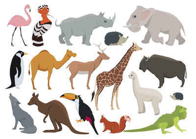 Character edible icing image sheet Wild Animals