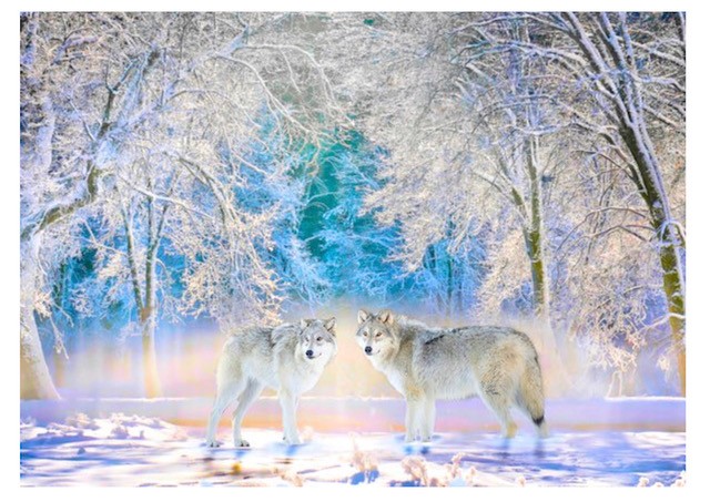 A4 Edible icing image Wolves and trees