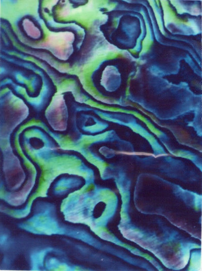 A4 Edible icing image Paua Shell
