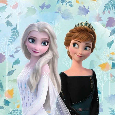 Frozen Elsa and Anna party Napkins serviettes (20)