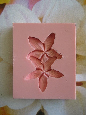 Frangipani silicone mould