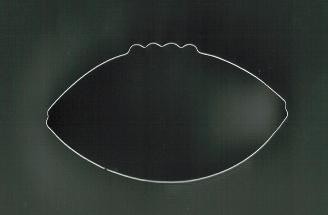 Rugby football cookie cutter stainless steel