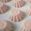 BLOOM BAKING CUPS CUPCAKE PAPERS 24 PACK Pastel Pink baby pink