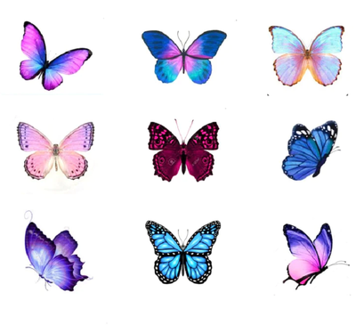 Butterflies Edible Printing