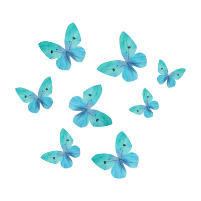 Blue butterfly decorations on a white background