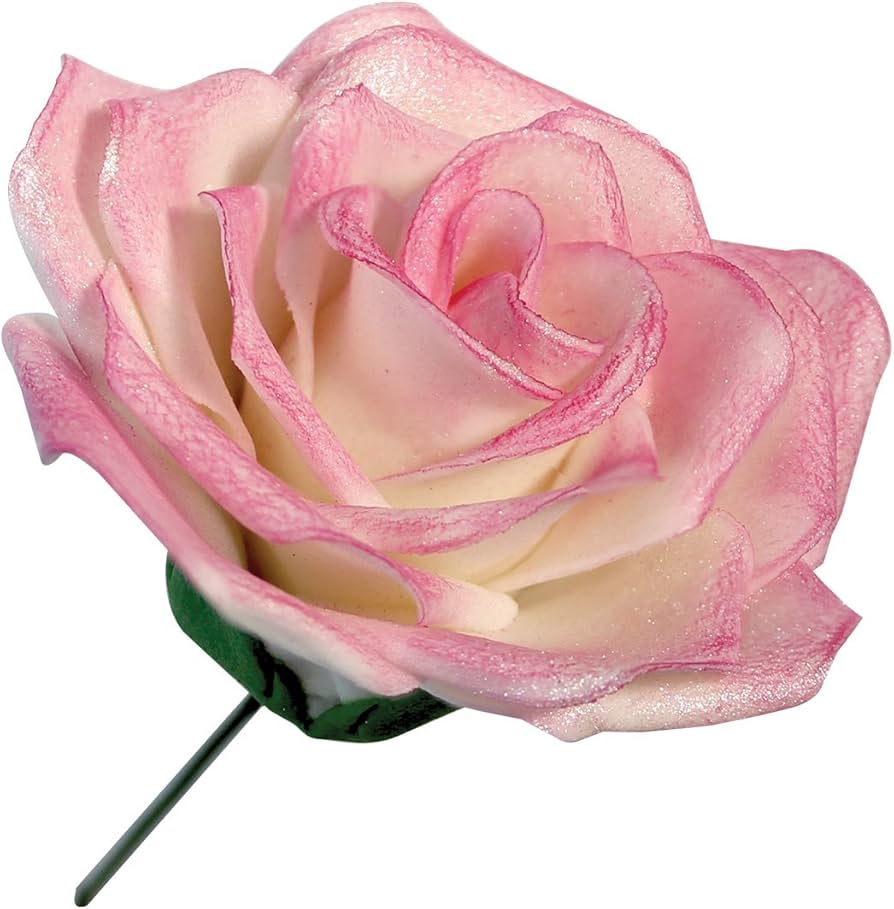 Example of a Pink rose with a green stem on a white background