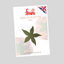 A product card for a 'Rose Calyx Cutter' by the brand 'fmm'. The card features a white background with a green rose calyx illustration in the center, a red 'fmm' logo at the top, and a small Union Jack flag in the upper right corner.