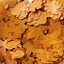 gingerbread shaped men glitter sprinkles