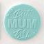 Teal icing embossed with Best mum ever.