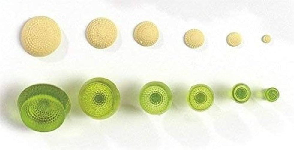 plastic stamp examples next to icing flower centres in 6 sizes