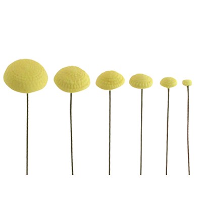 Six yellow textured pom-pom daisy centres for icing flowers of decreasing sizes on thin dark wire stems, arranged in a row against a plain white background.