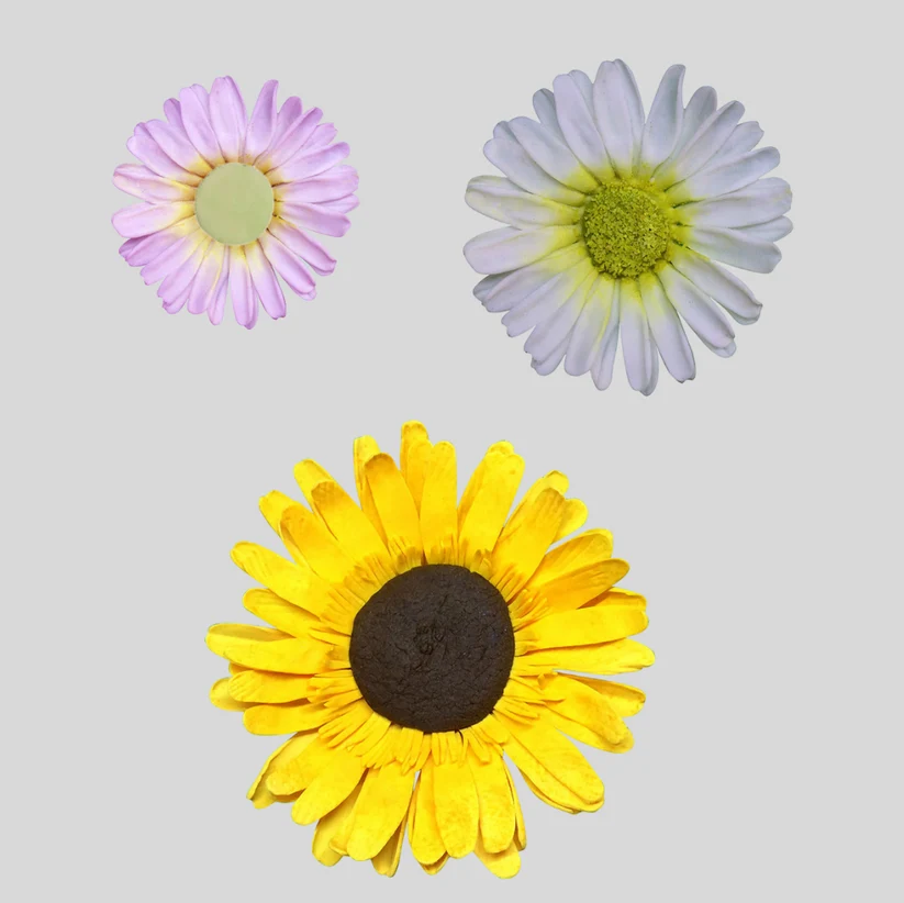 Daisy sunflower or Gerbera cutter set of 5 sizes by FMM