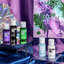 Colour Mill paint blend bottles displayed on acrylic shelves with a colorful abstract painting in the background.