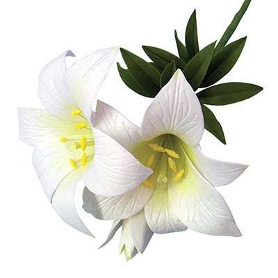 White gumpaste icing lillies with yellow throats and greenleaves