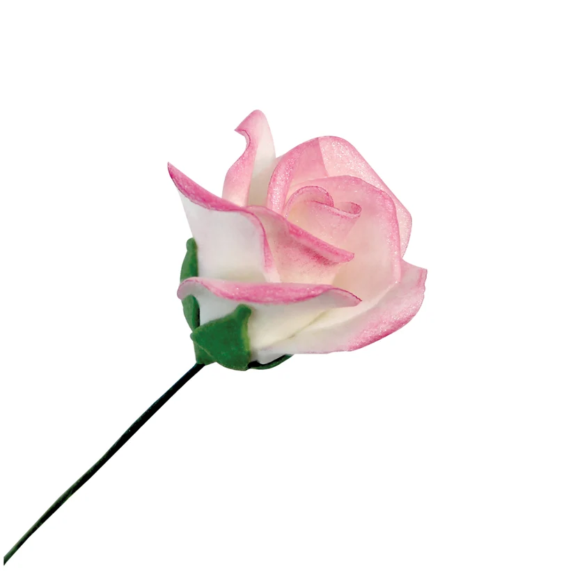 Example of a Pink rose with a green stem on a white background