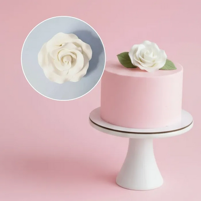 Pink cake with white rose decoration on a pink background