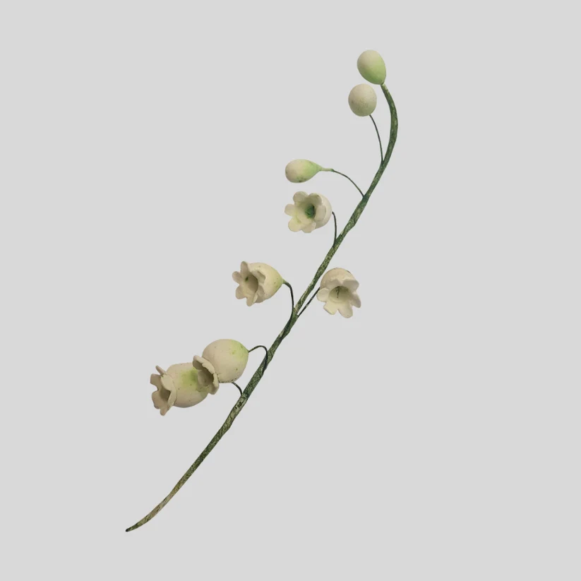 A single stem of lily of the valley flowers with pale cream blossoms and green buds on a thin green stem, isolated on a light gray background.