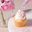 Magic Sparkles Edible Iridescent Glitter by PME Fairy Flowers
