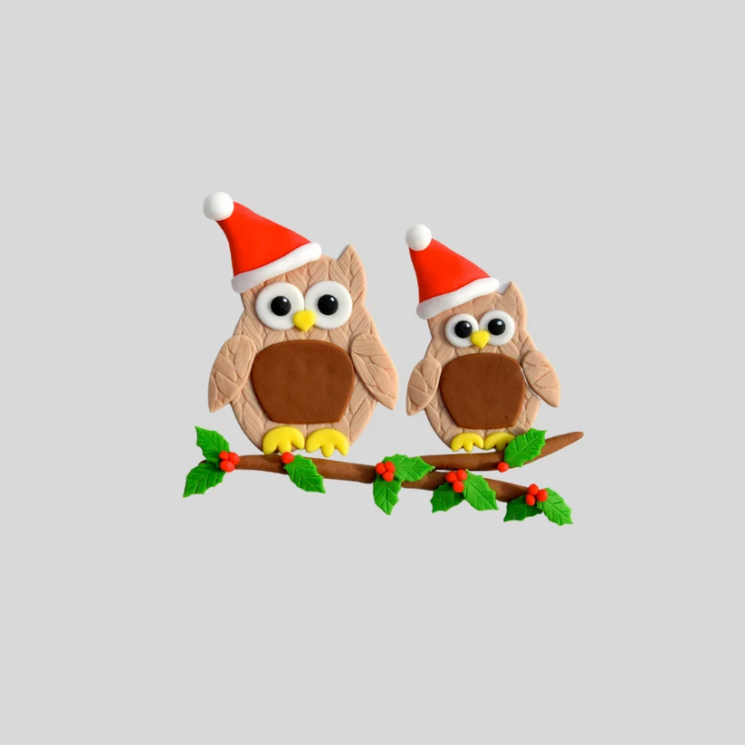 Mummy and Baby Owl icing cutter set by FMM