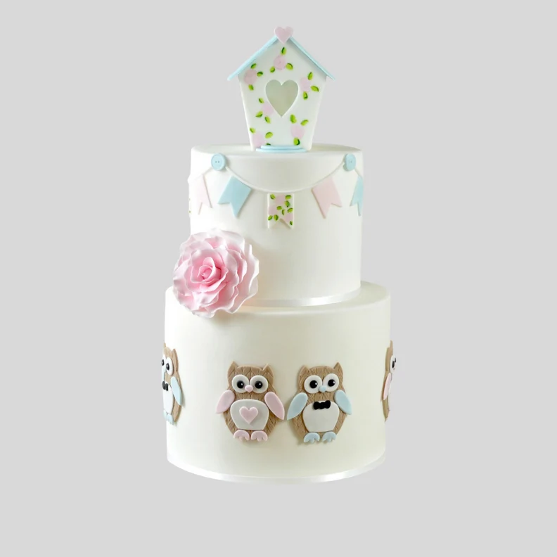 Mummy and Baby Owl icing cutter set by FMM
