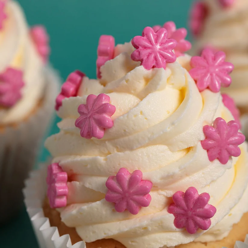 Close-up of a cupcake with pink flower decorations on a teal background