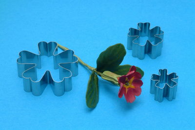 PME Primrose flower petal cutter set
