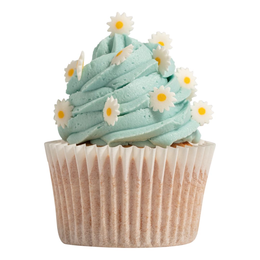 Cupcake with light blue frosting and white daisy flowers on a white background