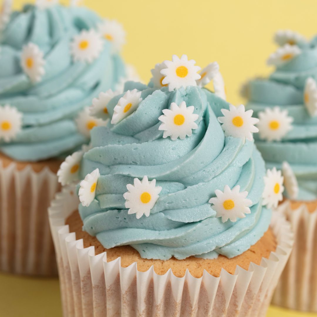 Cupcakes with blue frosting and white daisy decorations on a yellow background