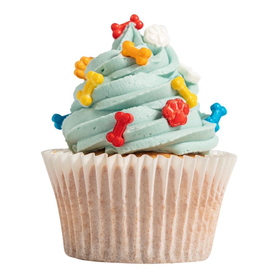 Cupcake with blue frosting and colorful dog bone decorations on a white background