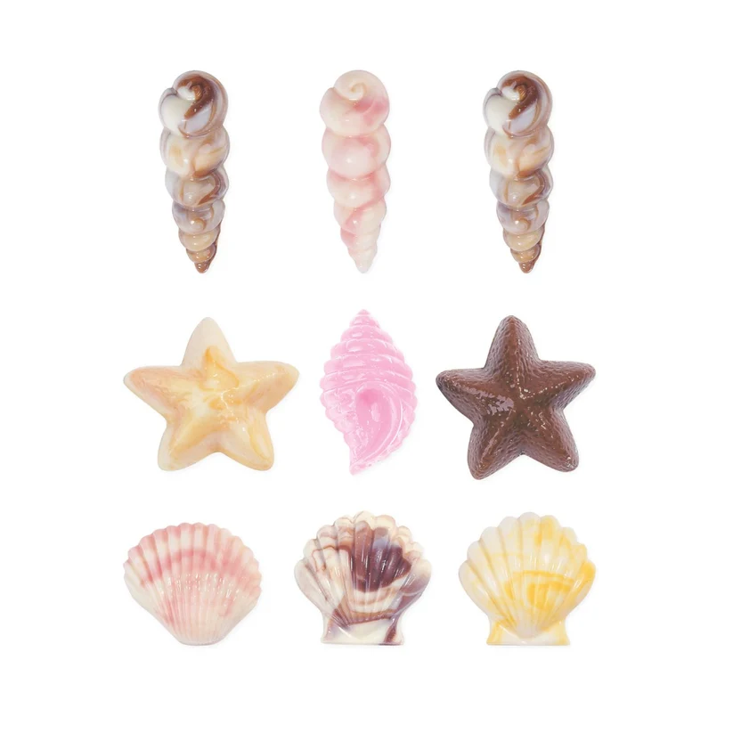 Nine seashell-shaped chocolates arranged in a 3x3 grid on a plain white background. The set includes various realistic shell designs in pink, brown, yellow, and cream colors.