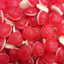 Strawberries and cream gummy candy lollies