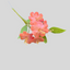 A single stem of gumpaste icing coral-pink flowers with green leaves on a plain light gray background.