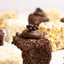 A close-up arrangement of assorted chocolate-covered treats and crumb-coated squares on a light neutral background.