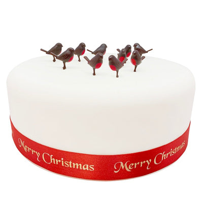 Example of Christmas Robin birds displayed on cake with ribbon feature