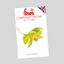 FMM cymbdium orchid cutter packaging