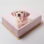 Custom edible icing image A4 RECTANGLE (single image only)