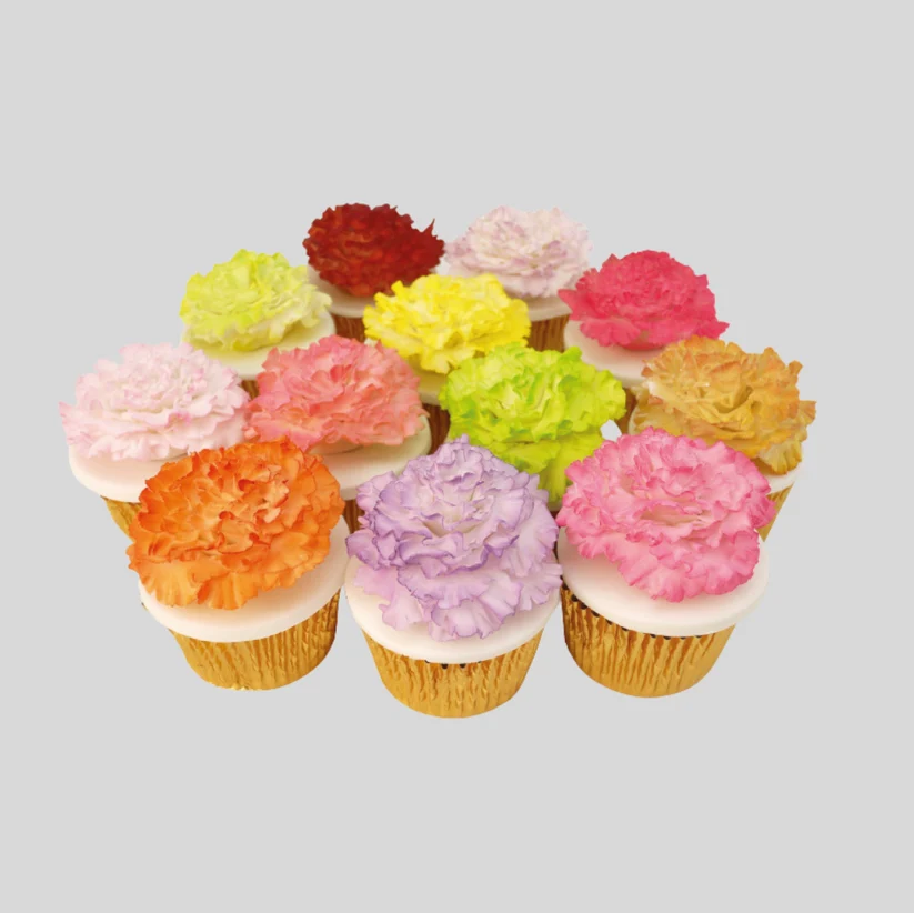 carnation flower cupcakes in bright colours