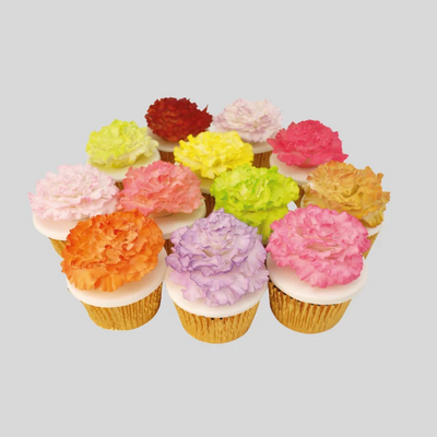 carnation flower cupcakes in bright colours