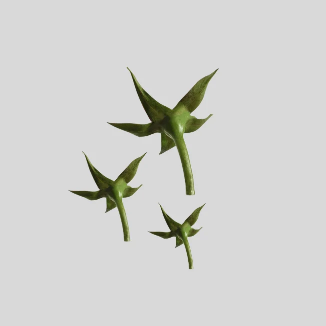 Three green star-shaped botanical calyx made of gumpaste with long stems, arranged on a plain light gray background.