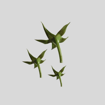Three green star-shaped botanical calyx made of gumpaste with long stems, arranged on a plain light gray background.