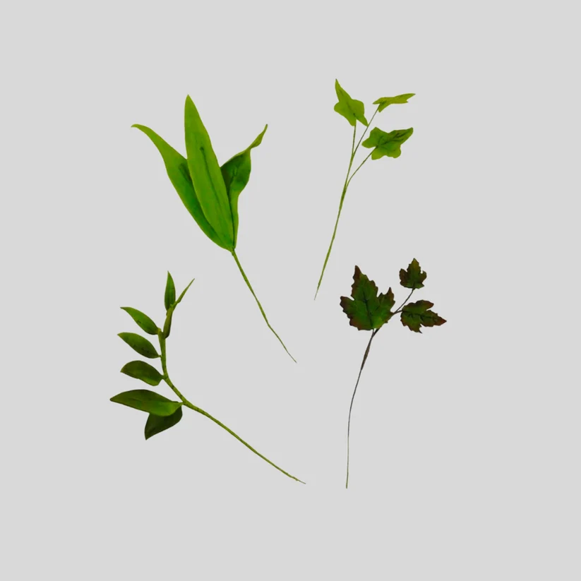 Four green botanical leaf sprigs arranged on a plain light gray background.