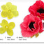 Jem anemone plastic flower cutters with examples of finished flowers made of icing